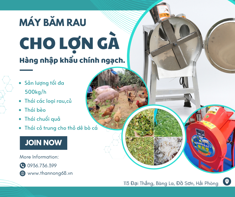 Máy băm rau, bèo cỏ cho lợn gà ngan ngỗng cá