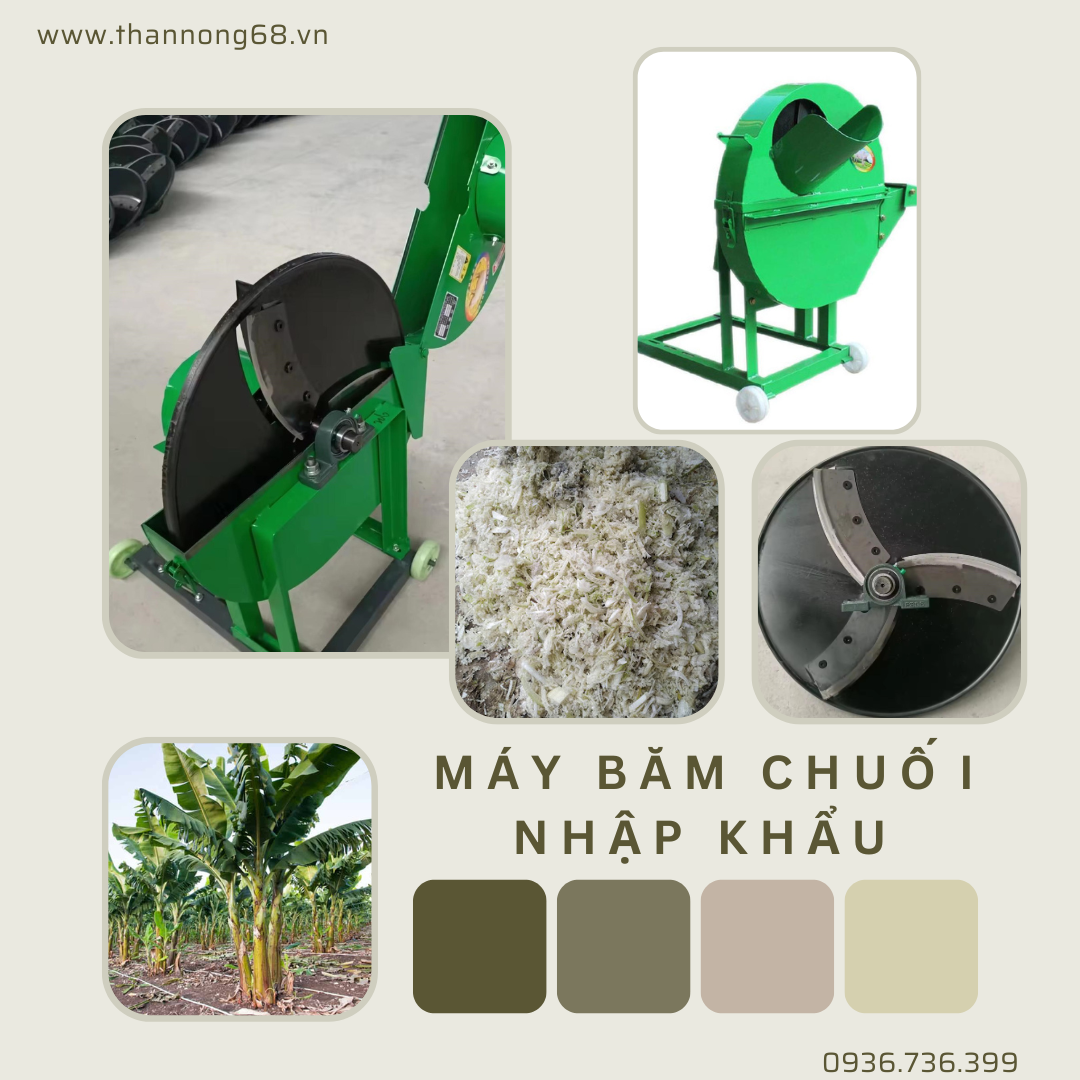 máy băm thân cây chuối làm thức ăn cho lợn gà ngan ngỗng dê bò