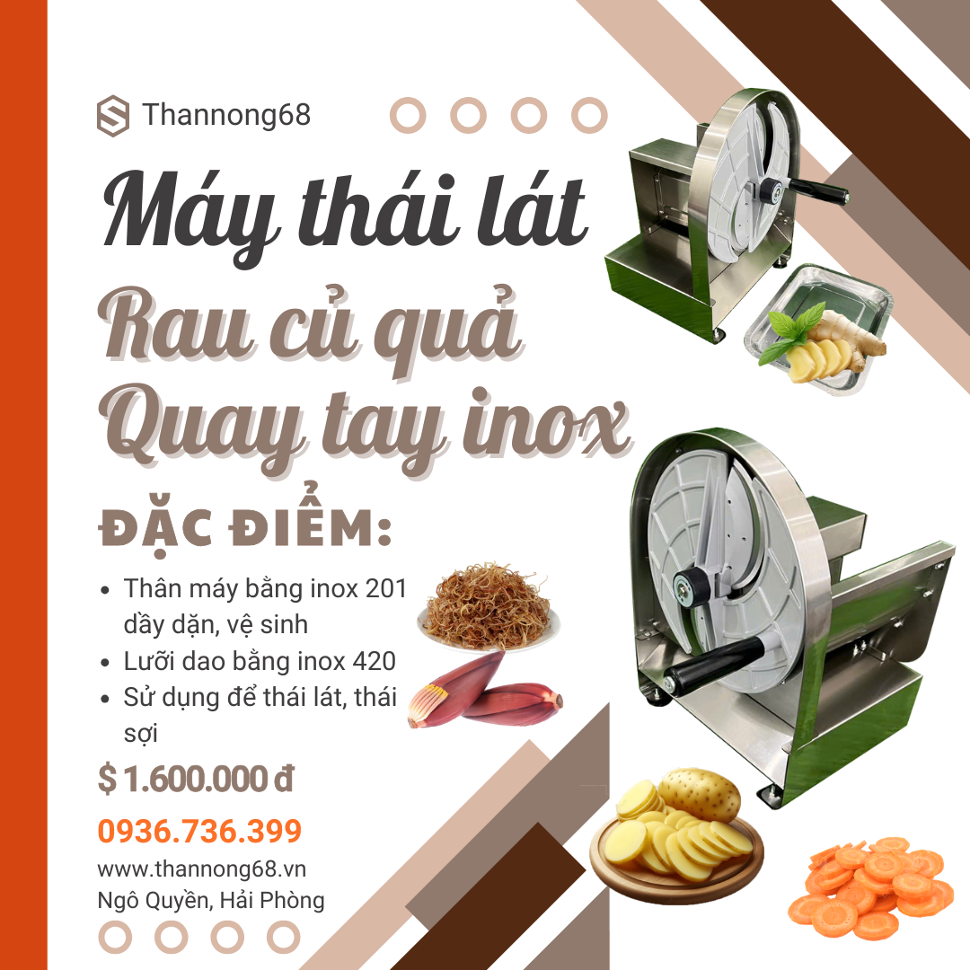 máy thái lát rau của quả hành tỏi bằng inox